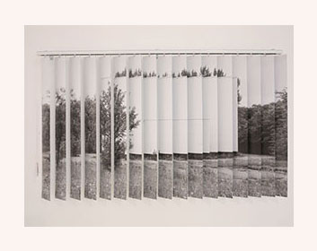 Ella Littwitz