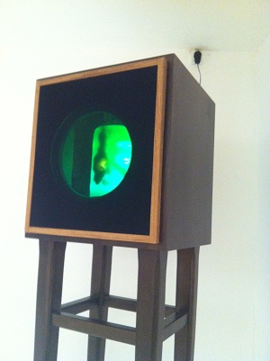 Jonathan Goldman