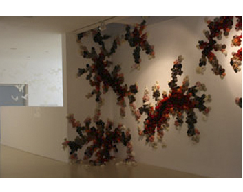 Asif Shwartz-Yassour