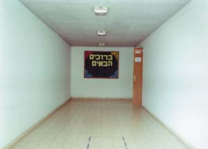 אסנת בר-אור